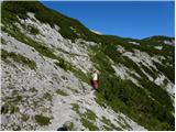 Planina Ravne - Kocbekov dom na Korošici